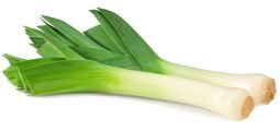 Лук порей